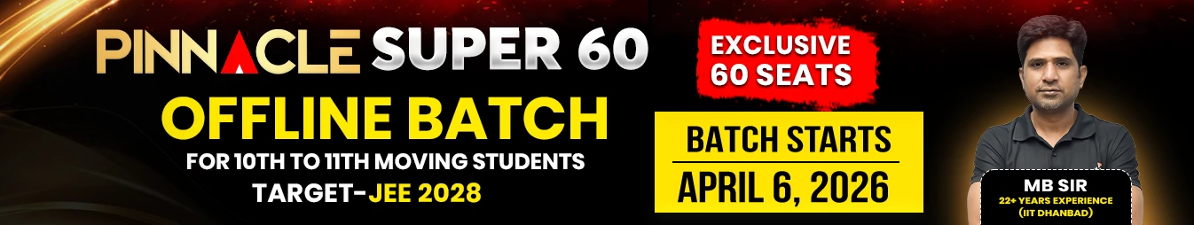 Pinnacle 2028 Online Web Banner